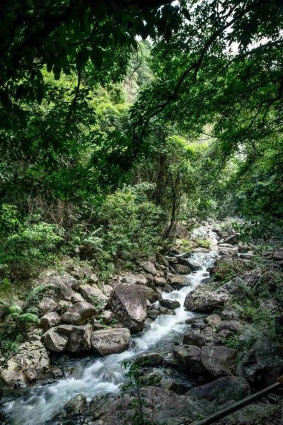 解锁吉鹿力问答社区，尽在父亲基本没有尽过扶养义务，孩子可以拒绝扶养他吗？